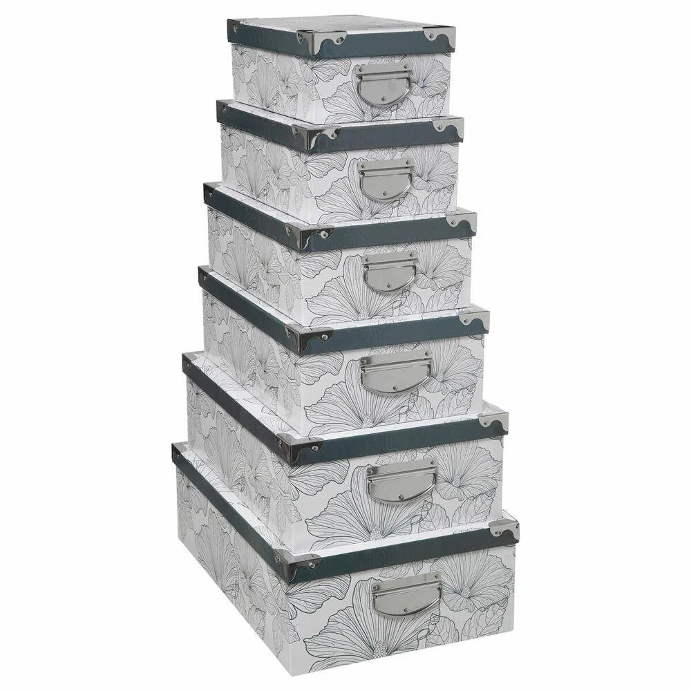 5FIVE SIMPLY SMART Aufbewahrungsbox Delicat 6tlg stoßfest Metallecken