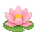 Yoga & Balance